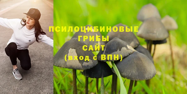 мяу мяу мука Абдулино