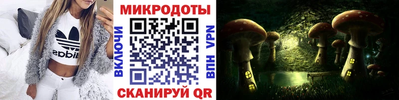 Псилоцибиновые грибы Cubensis  Щучье 